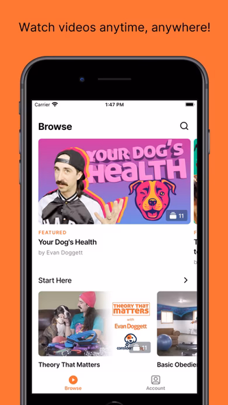 Consider The Dog Screenshot 1 - AppWisp.com Consider The Dog Screenshot 1 - AppWisp.com