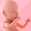 Pregnancy Tracker & Day by Day - AppWisp.com