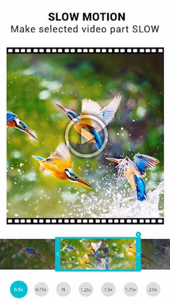 Video Speed Changer: SlowMo Screenshot 1 - AppWisp.com Video Speed Changer: SlowMo Screenshot 1 - AppWisp.com