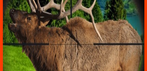 Elk Hunting Calls Header - AppWisp.com Elk Hunting Calls Header - AppWisp.com