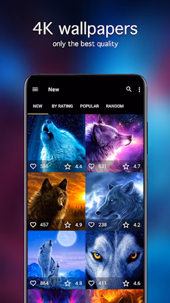 Wolf Wallpapers 4K Screenshot 2 - AppWisp.com Wolf Wallpapers 4K Screenshot 2 - AppWisp.com