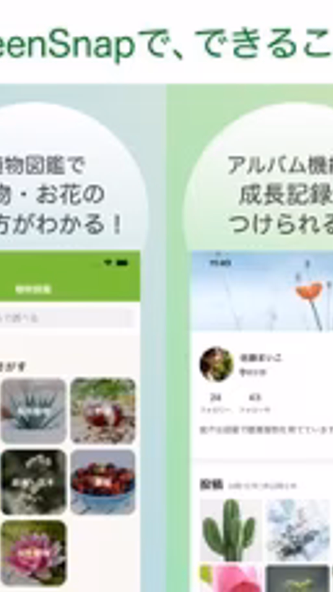 GreenSnap - 植物・花の名前が判る写真共有アプリ Screenshot 3 - AppWisp.com GreenSnap - 植物・花の名前が判る写真共有アプリ Screenshot 3 - AppWisp.com