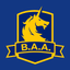B.A.A. Racing App - AppWisp.com