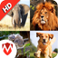 150 Animal Sounds - AppWisp.com