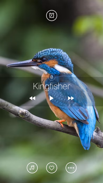 Bird Sounds, Listen & Relax Screenshot 4 - AppWisp.com Bird Sounds, Listen & Relax Screenshot 4 - AppWisp.com