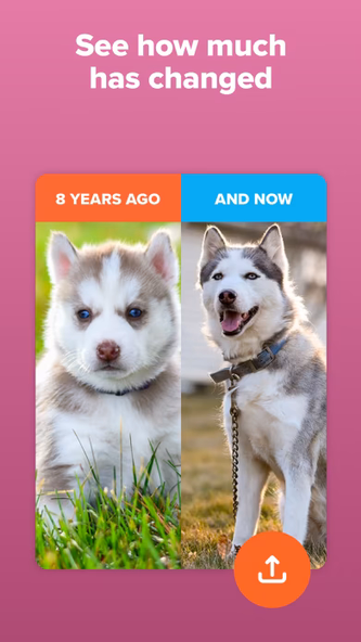 Timehop - Memories Then & Now Screenshot 3 - AppWisp.com Timehop - Memories Then & Now Screenshot 3 - AppWisp.com
