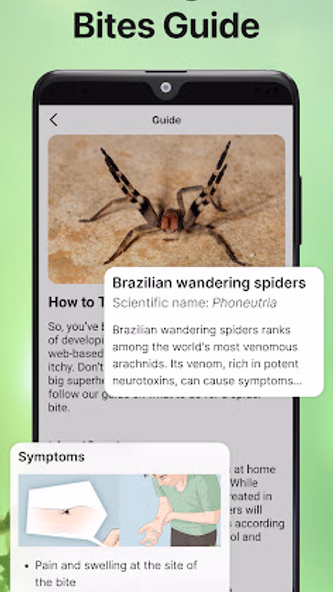 Bug Identifier Bug Finder Screenshot 4 - AppWisp.com Bug Identifier Bug Finder Screenshot 4 - AppWisp.com