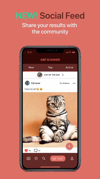 Cat Scanner Screenshot 4 - AppWisp.com Cat Scanner Screenshot 4 - AppWisp.com