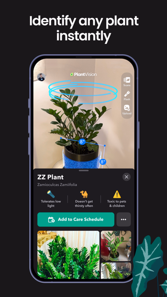 Greg: Plant Identifier & Care Screenshot 2 - AppWisp.com Greg: Plant Identifier & Care Screenshot 2 - AppWisp.com