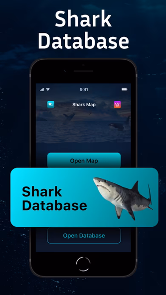 Shark Tracker: Shark Finder Screenshot 3 - AppWisp.com Shark Tracker: Shark Finder Screenshot 3 - AppWisp.com