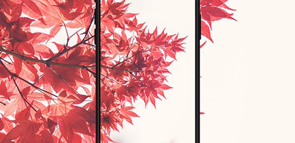 Offline Auto Wallpaper Changer Header - AppWisp.com Offline Auto Wallpaper Changer Header - AppWisp.com