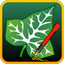 Ivy Draw: Vector Drawing - AppWisp.com