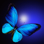 Stofskifte - AppWisp.com