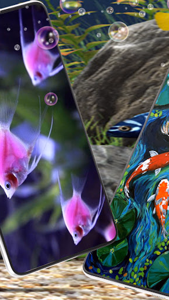 Cute Fish Wallpapers HD Screenshot 4 - AppWisp.com Cute Fish Wallpapers HD Screenshot 4 - AppWisp.com