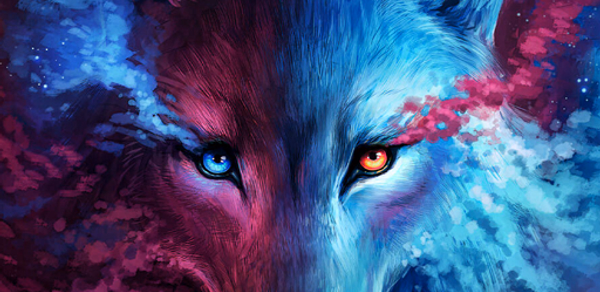 Wolf Wallpapers 4K Header - AppWisp.com Wolf Wallpapers 4K Header - AppWisp.com