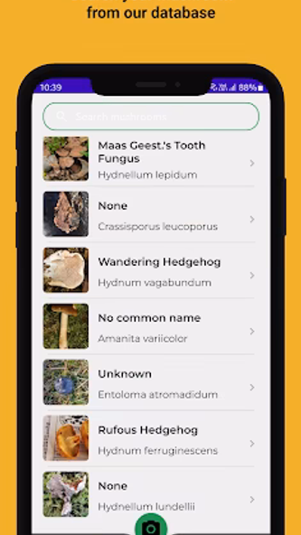 Mushroom identifier Screenshot 4 - AppWisp.com Mushroom identifier Screenshot 4 - AppWisp.com