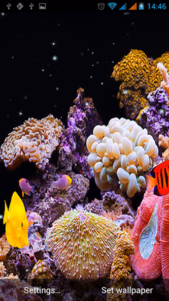 Aquarium Live Wallpaper Screenshot 2 - AppWisp.com Aquarium Live Wallpaper Screenshot 2 - AppWisp.com