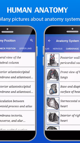 Gray's Anatomy - Anatomy Atlas Screenshot 3 - AppWisp.com Gray's Anatomy - Anatomy Atlas Screenshot 3 - AppWisp.com
