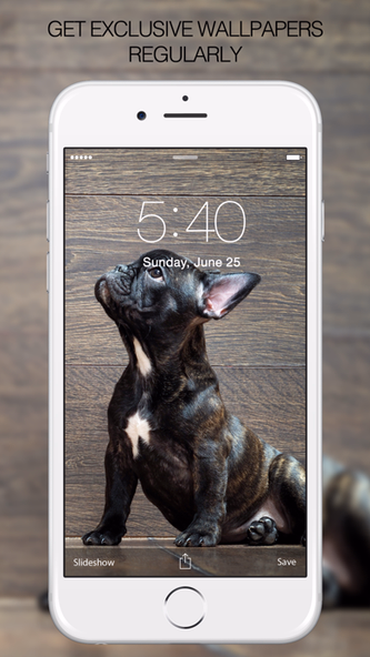 Puppy Wallpapers – Cute Puppy Pictures & Images Screenshot 3 - AppWisp.com Puppy Wallpapers – Cute Puppy Pictures & Images Screenshot 3 - AppWisp.com