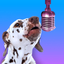 PetStar: My Pet Sings & Dances - AppWisp.com