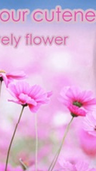 Lovely Flower Frames - cutest photo frame app. Screenshot 1 - AppWisp.com Lovely Flower Frames - cutest photo frame app. Screenshot 1 - AppWisp.com