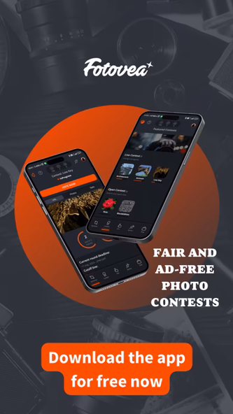 Fotovea: Photography Contests Screenshot 1 - AppWisp.com Fotovea: Photography Contests Screenshot 1 - AppWisp.com