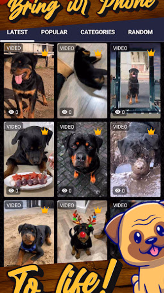 rottweiler wallpaper Screenshot 2 - AppWisp.com rottweiler wallpaper Screenshot 2 - AppWisp.com