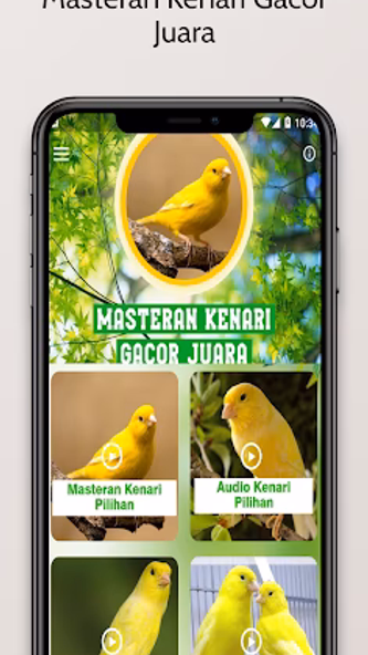 Masteran Kenari Gacor Juara Screenshot 1 - AppWisp.com Masteran Kenari Gacor Juara Screenshot 1 - AppWisp.com