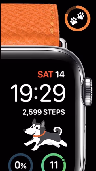 StepDog - Watch Face Dog Screenshot 1 - AppWisp.com StepDog - Watch Face Dog Screenshot 1 - AppWisp.com