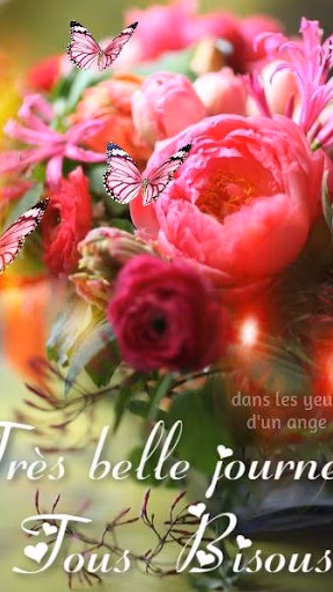 Bonjour Bonsoir Bonne Nuit Screenshot 1 - AppWisp.com Bonjour Bonsoir Bonne Nuit Screenshot 1 - AppWisp.com
