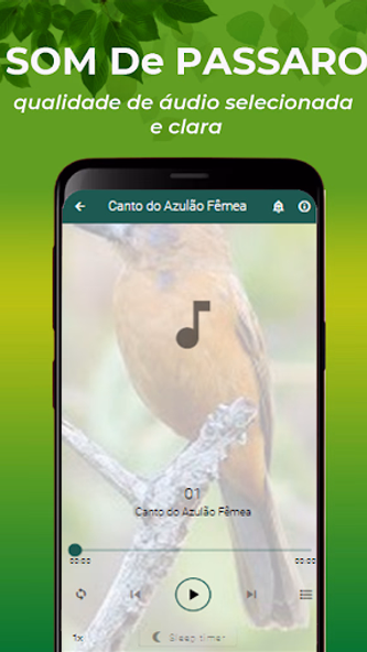 Canto do Azulão Fêmea Screenshot 2 - AppWisp.com Canto do Azulão Fêmea Screenshot 2 - AppWisp.com