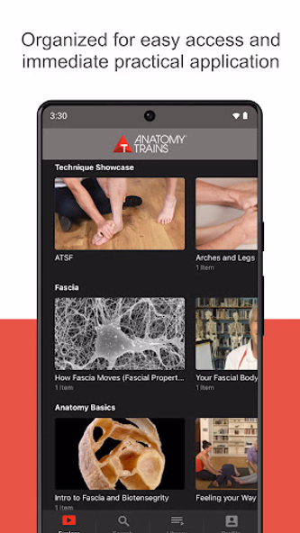 Anatomy Trains Screenshot 3 - AppWisp.com Anatomy Trains Screenshot 3 - AppWisp.com
