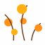 Citrus Salon - AppWisp.com