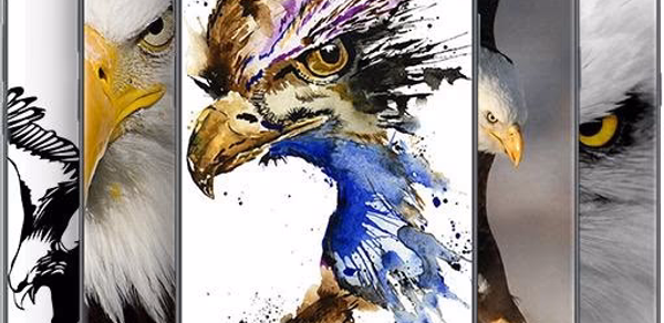 Eagle Wallpapers Header - AppWisp.com Eagle Wallpapers Header - AppWisp.com