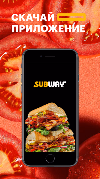 Subway Russia Screenshot 1 - AppWisp.com Subway Russia Screenshot 1 - AppWisp.com