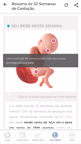 Minha Gravidez por Paula Screenshot 2 - AppWisp.com Minha Gravidez por Paula Screenshot 2 - AppWisp.com