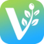 VFI News - Vision for Israel - AppWisp.com