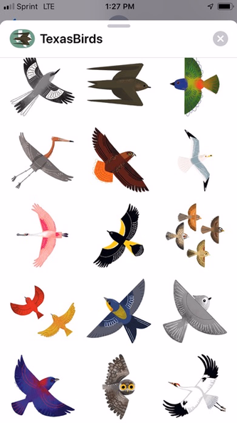 Texas Birds Sticker Pack Screenshot 1 - AppWisp.com Texas Birds Sticker Pack Screenshot 1 - AppWisp.com