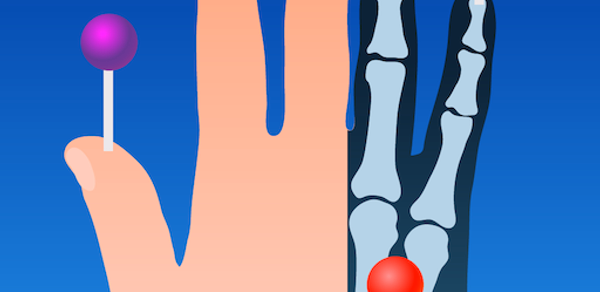 e-Anatomy Header - AppWisp.com e-Anatomy Header - AppWisp.com