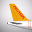 Pegasus: Cheap Flight Tickets - AppWisp.com