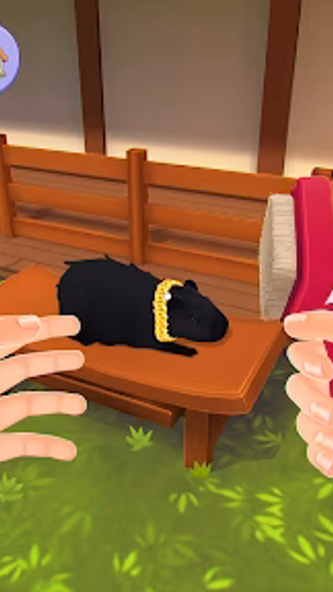 Capybara Simulator: My pets Screenshot 3 - AppWisp.com Capybara Simulator: My pets Screenshot 3 - AppWisp.com