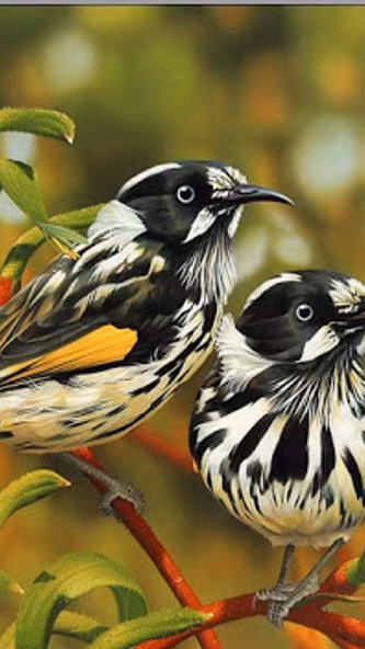 Birds Wallpapers HD 2021-2022 Screenshot 2 - AppWisp.com Birds Wallpapers HD 2021-2022 Screenshot 2 - AppWisp.com