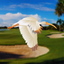 The Club at Ibis - AppWisp.com
