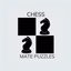 Chess Mate Puzzle - AppWisp.com