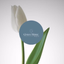 GraceAlone Radio Network - AppWisp.com