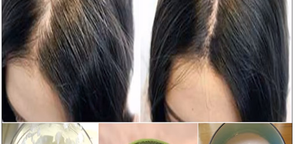 Guide home remedies for hair Header - AppWisp.com Guide home remedies for hair Header - AppWisp.com