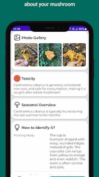 Mushroom identifier Screenshot 2 - AppWisp.com Mushroom identifier Screenshot 2 - AppWisp.com