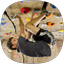 Rock Climbing Guide - AppWisp.com
