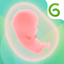 Pregnancy Tracker App | Glow - AppWisp.com