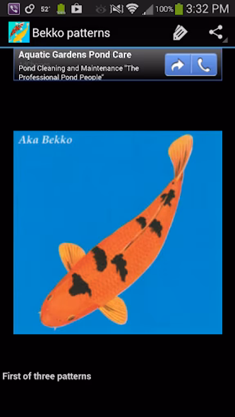 Koi Catalog Screenshot 3 - AppWisp.com Koi Catalog Screenshot 3 - AppWisp.com